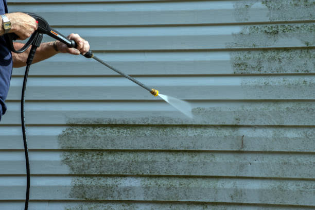 Boat and Dock Cleaning in West Pensacola, FL